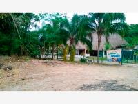 Terreno en venta en La Victoria Kilómetro 47, Papantla — foto 3 de 6