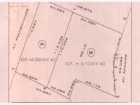 Terreno en venta en Bruno Pagliai, Veracruz, Veracruz de Ignacio de la Llave Terreno en venta en Bruno Pagliai, Veracruz, Veracruz de Ignacio de la Llave