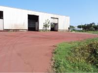 Terreno en venta en Bruno Pagliai, Veracruz — foto 2 de 6