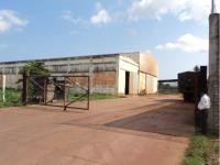 Terreno en venta en Bruno Pagliai, Veracruz — foto 3 de 6