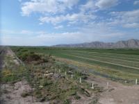 Terreno en venta en Corona, Matamoros — foto 2 de 7