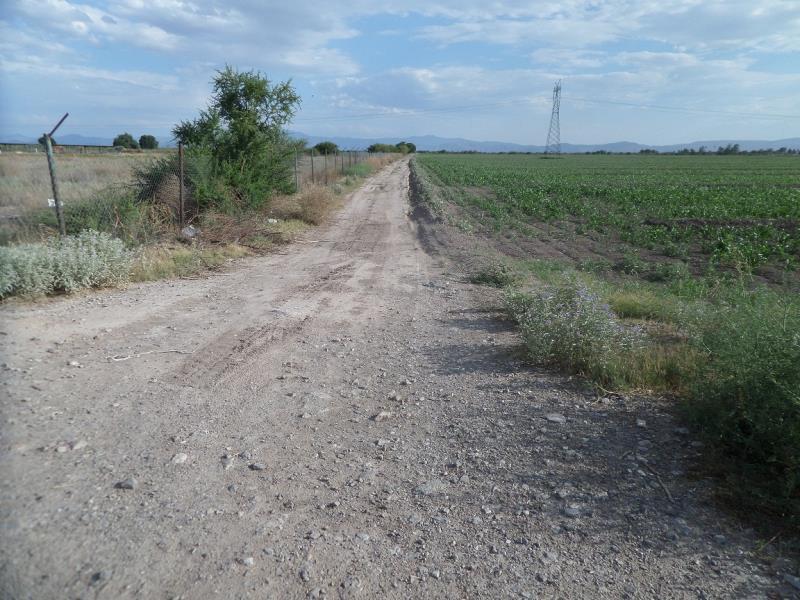 Terreno en Venta en El Consuelo, Matamoros, Coahuila de Zaragoza Terreno en Venta en El Consuelo, Matamoros, Coahuila de Zaragoza