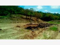 Terreno en renta en La Victoria Kilómetro 47, Papantla — foto 3 de 15
