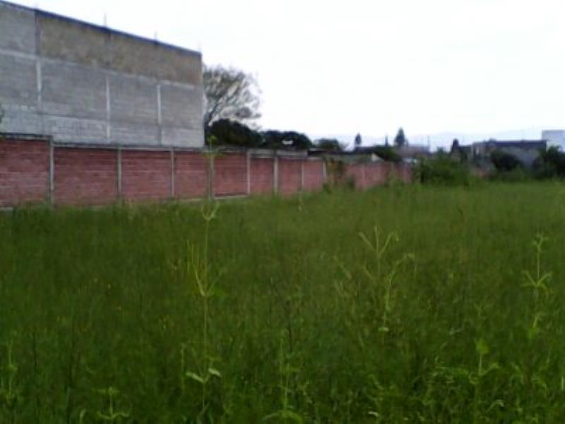 Terreno en venta en Acatlipa Centro, Temixco — foto 1 de 6
