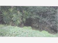 Terreno en venta en Bellavista, Xalapa — foto 2 de 6