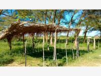 Terreno en venta en Tamiahua, Tamiahua, Veracruz de Ignacio de la Llave