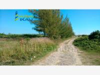 Terreno en venta en Tamiahua, Tamiahua — foto 2 de 15