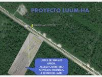 Terreno en venta en Lúum Zama, Tulum — foto 3 de 5