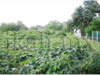 Terreno en venta en Santiago de la Peña, Tuxpan — foto 2 de 8