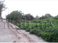Terreno en venta en Santiago de la Peña, Tuxpan — foto 3 de 8