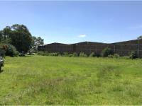 Terreno en venta en Chipilo de Francisco Javier Mina, San Gregorio Atzompa — foto 2 de 6
