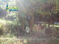 Terreno en venta en Anahuac, Tuxpan — foto 2 de 7