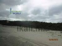 Terreno en venta en Palo Blanco, Tamiahua — foto 2 de 10