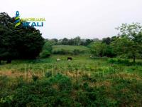 Terreno en venta en Anahuac, Tuxpan — foto 2 de 5
