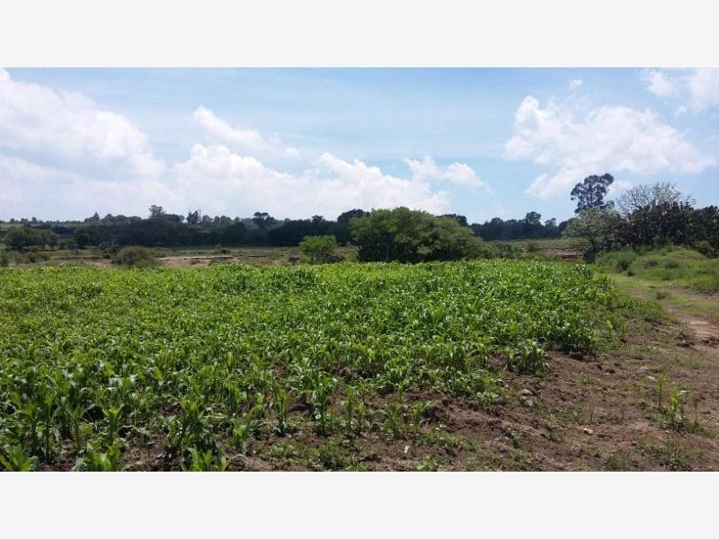 Terreno en venta en Arroyo Zarco, Aculco — foto 1 de 9