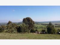 Terreno en venta en Arroyo Zarco, Aculco — foto 2 de 4