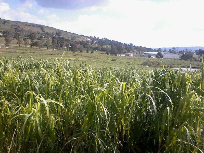 Terreno en venta en Aculco de Espinoza, Aculco — foto 1 de 7