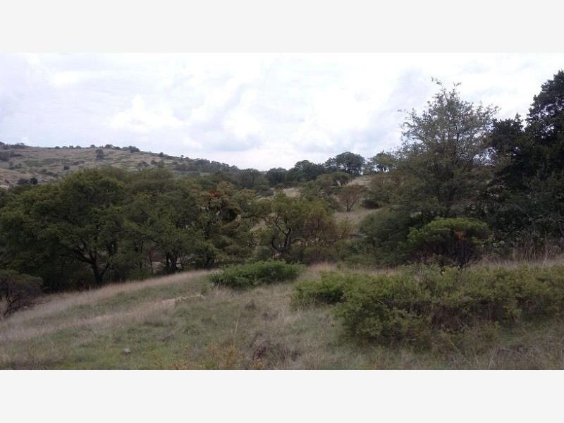 Terreno en venta en Aculco de Espinoza, Aculco — foto 1 de 7