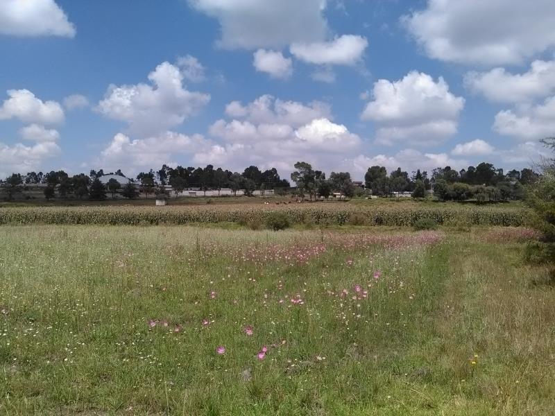 Bodega en venta en Aculco de Espinoza, Aculco — foto 1 de 14
