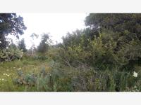 Terreno en venta en Aculco de Espinoza, Aculco — foto 3 de 6
