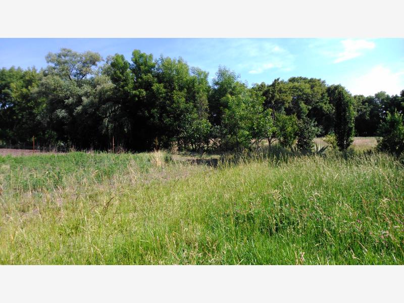 Terreno en venta en Aculco de Espinoza, Aculco — foto 1 de 18