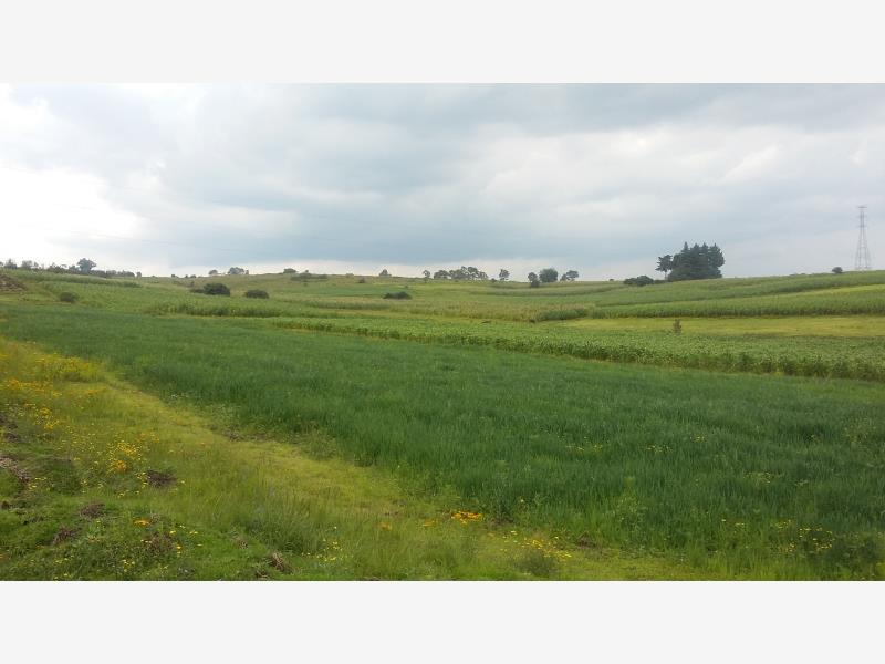 Terreno en venta en Aculco de Espinoza, Aculco — foto 1 de 29