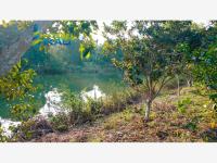 Terreno en venta en Juana Moza, Tuxpan — foto 2 de 20