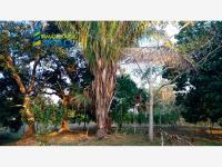 Terreno en venta en Juana Moza, Tuxpan — foto 3 de 20