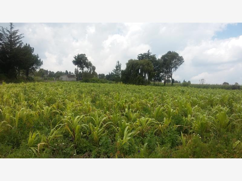 Terreno en venta en Aculco de Espinoza, Aculco — foto 1 de 27