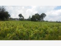 Terreno en venta en Aculco de Espinoza, Aculco, México