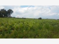Terreno en venta en Aculco de Espinoza, Aculco — foto 3 de 27