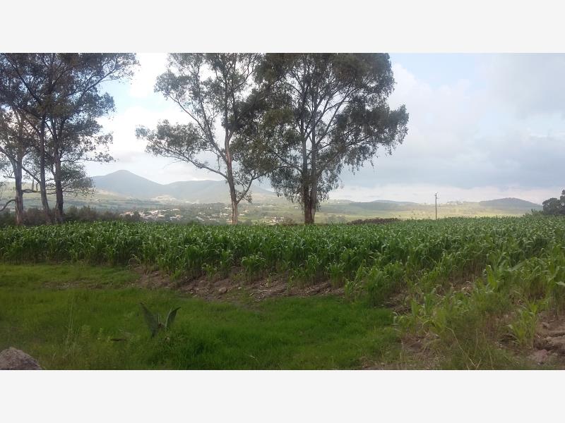 Terreno en venta en Aculco de Espinoza, Aculco — foto 1 de 14