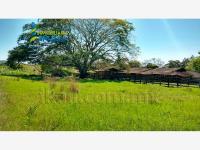 Finca-Rancho en venta en Temapache, Álamo Temapache — foto 3 de 36