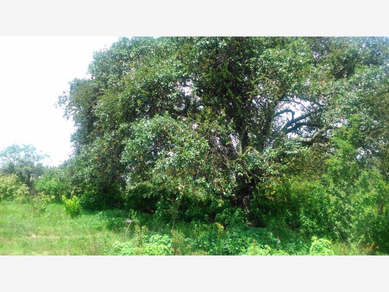 Terreno en venta en Aculco de Espinoza, Aculco — foto 1 de 21