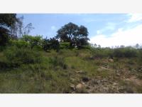 Terreno en venta en Aculco de Espinoza, Aculco — foto 3 de 7