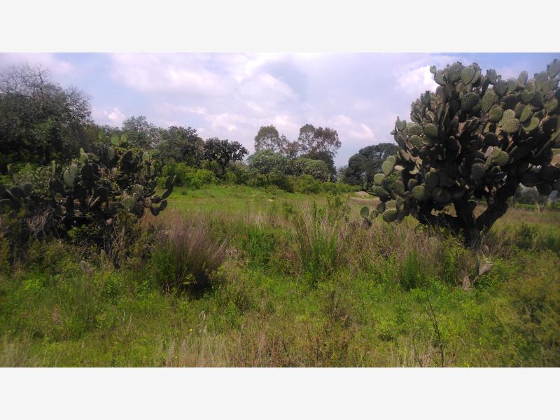 Terreno en venta en Aculco de Espinoza, Aculco — foto 1 de 7
