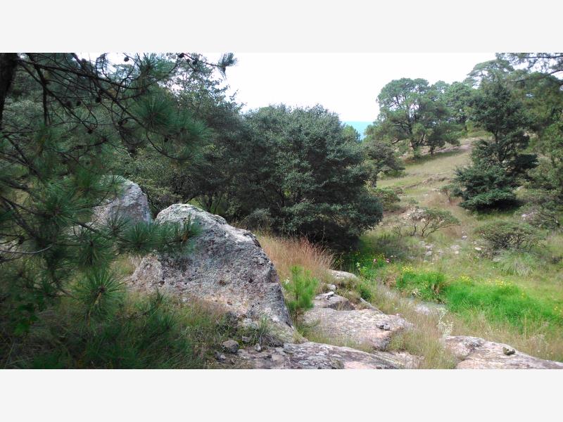 Terreno en venta en Aculco de Espinoza, Aculco — foto 1 de 31