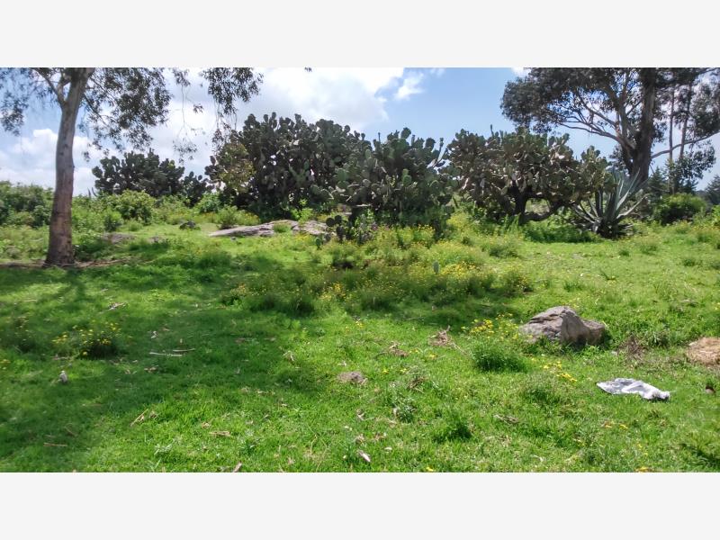 Terreno en venta en Aculco de Espinoza, Aculco — foto 1 de 28