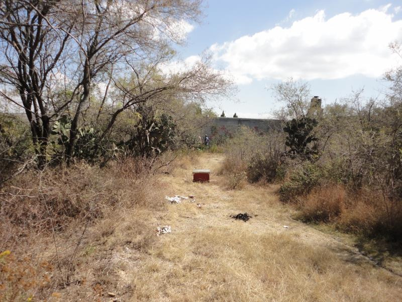 Terreno en venta en Concepción Cuautla, Tecali de Herrera — foto 1 de 10
