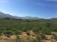 Terreno en venta en San José de la Zorra, Playas de Rosarito — foto 3 de 8