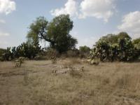 Terreno en venta en San Agustin Actipac, Teotihuacán — foto 2 de 11