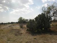 Terreno en venta en San Agustin Actipac, Teotihuacán — foto 3 de 11
