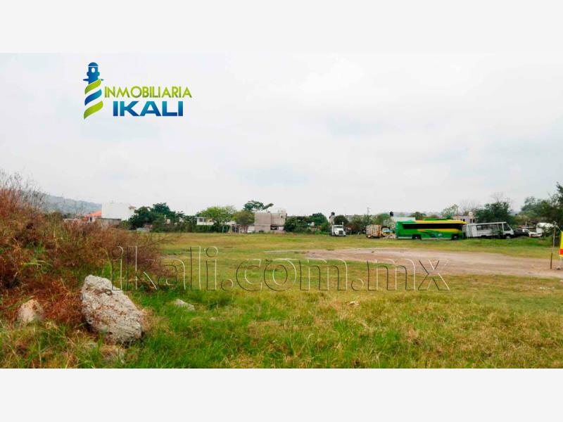 Terreno en renta en Plan de Ayala, Tihuatlán — foto 1 de 6