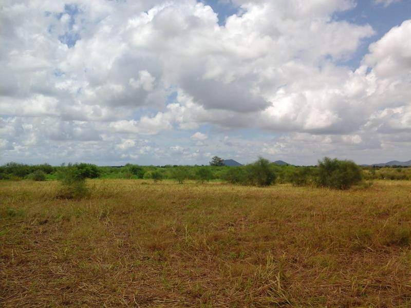 Terreno en venta en 22 de Junio, Navolato — foto 1 de 3