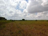 Terreno en venta en 22 de Junio, Navolato — foto 2 de 3