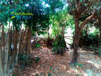 Terreno en venta en Insurgentes, Tuxpan — foto 2 de 13
