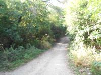 Terreno en venta en Rincon de la Sierra, Guadalupe — foto 2 de 8
