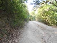 Terreno en venta en Rincon de la Sierra, Guadalupe — foto 3 de 8