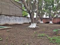 Terreno en venta en Centro, Yautepec — foto 2 de 15