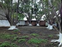 Terreno en venta en Centro, Yautepec — foto 3 de 15